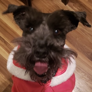 Bailey