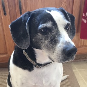Linus
